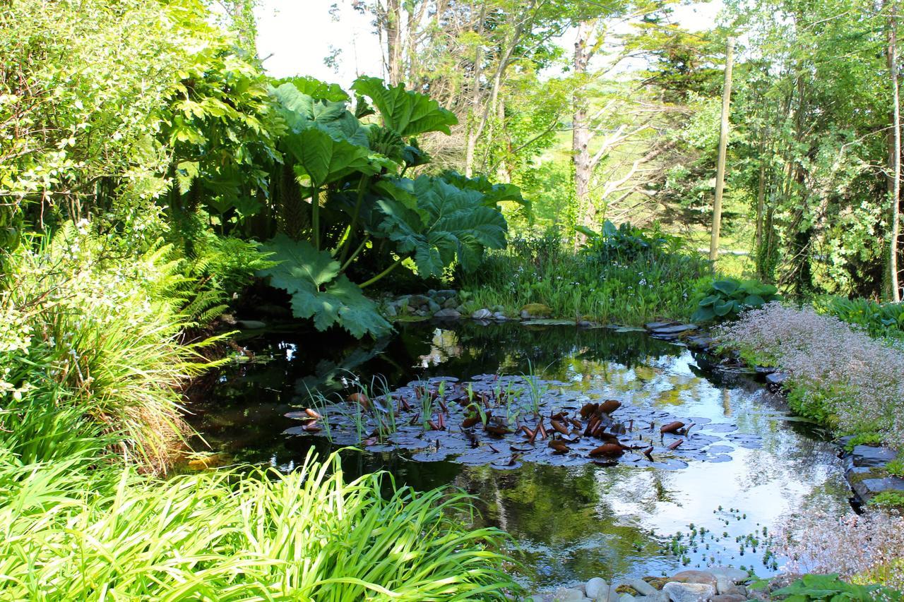 Blairscove House & Restaurant Hotel Durrus Esterno foto