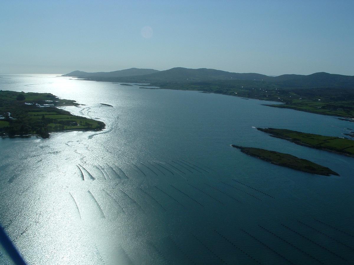 Blairscove House & Restaurant Hotel Durrus Esterno foto